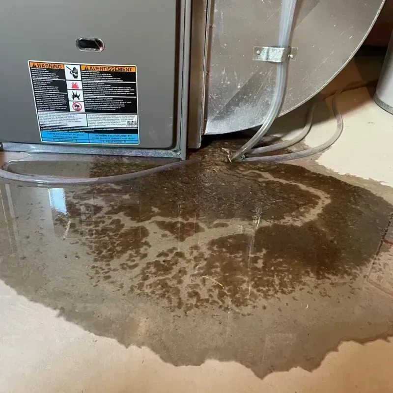 Appliance Leak Cleanup in Paulina, LA